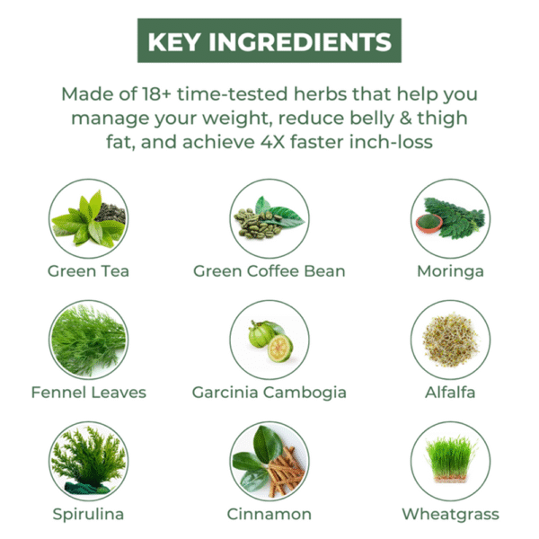 Goodlifeveda 30 Days Get Slim Herbal Detox Kit - Image 2
